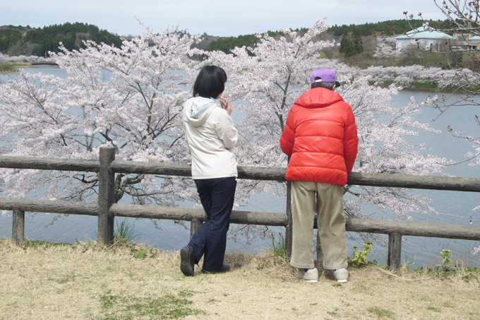 はまゆりの「行事」